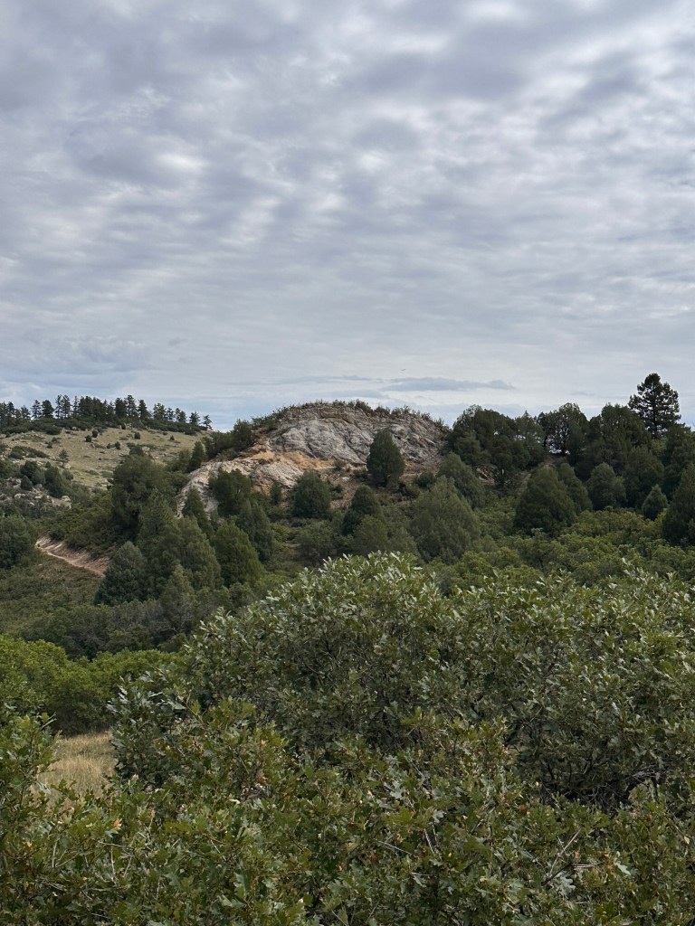 Scenery around Larkspur, CO