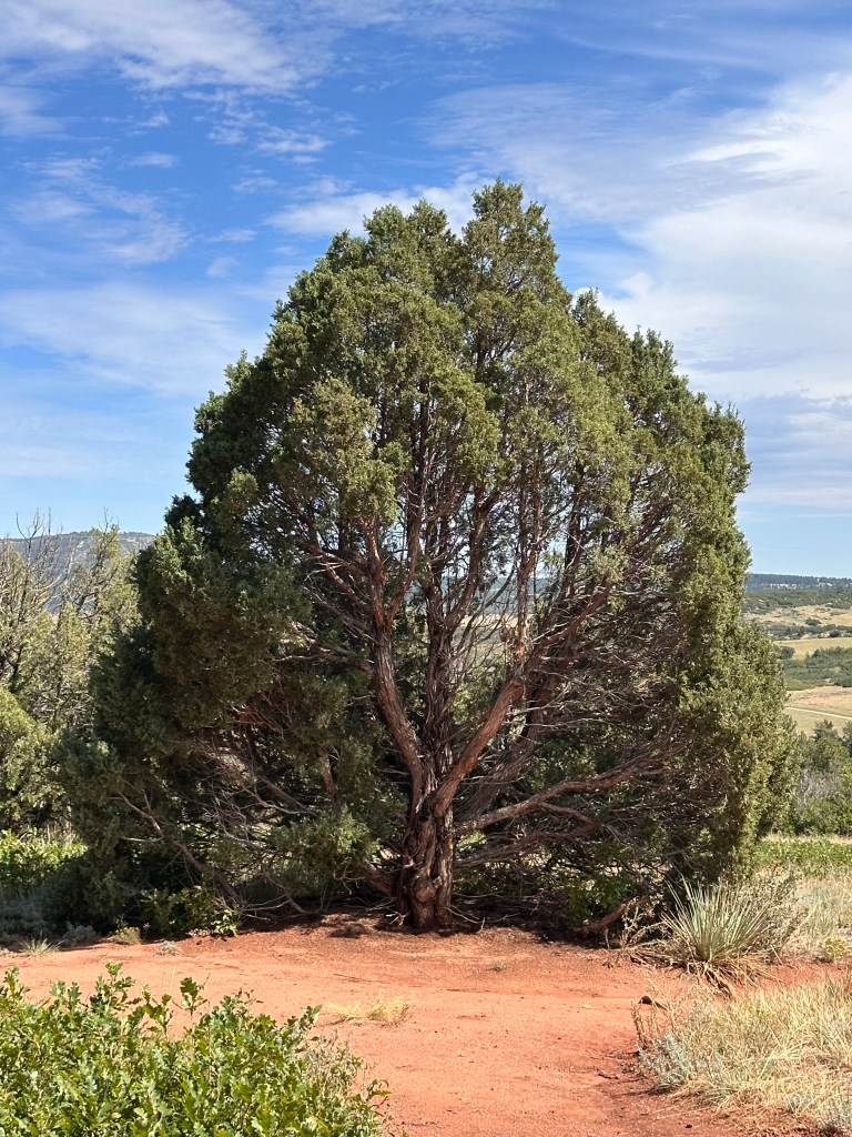 Beautiful scenery in the Juniper Valley